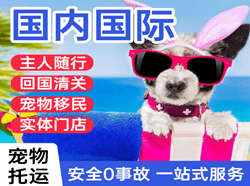普宁机场邮寄国际宠物托运 【国
